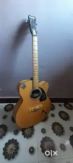 Semi acoustic guitar