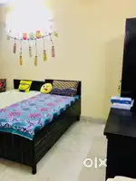 NO BROKERAGE 500+ Boys PGs with meals & amenities in Noida!