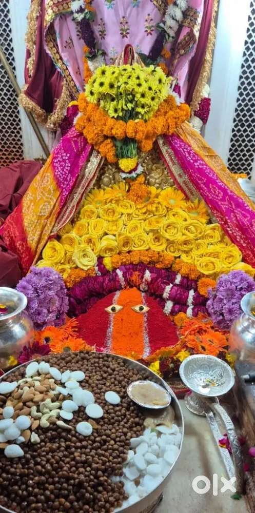 We required a chef for our hotel must be all rounder knows indian chin