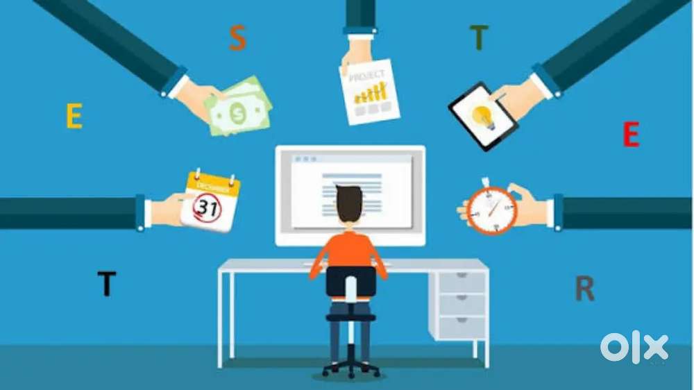 Software testing role and programme developer