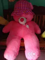New teddy bear