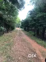 आदिवासी प्लाट