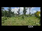 Kothamangalam minipaddy house plots for sale