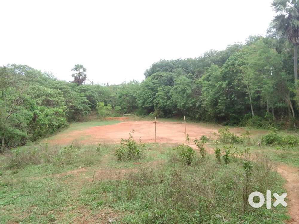 Garden Land