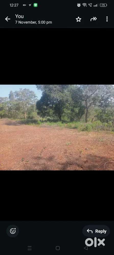 Orchard plot for sale in Nirankal Ponda South Goa