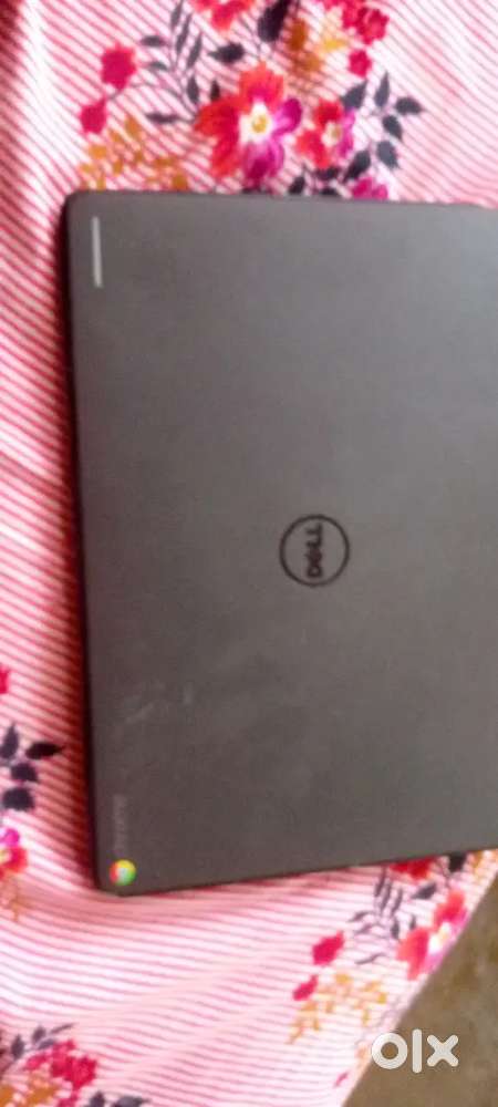 Dell laptop 6000 only