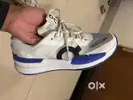 The roger pro-2 size UK-8.5