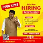 JUNIOR ASSISTANT