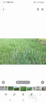 Khet ki zameen urgent sale