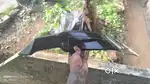 Universal mudguard