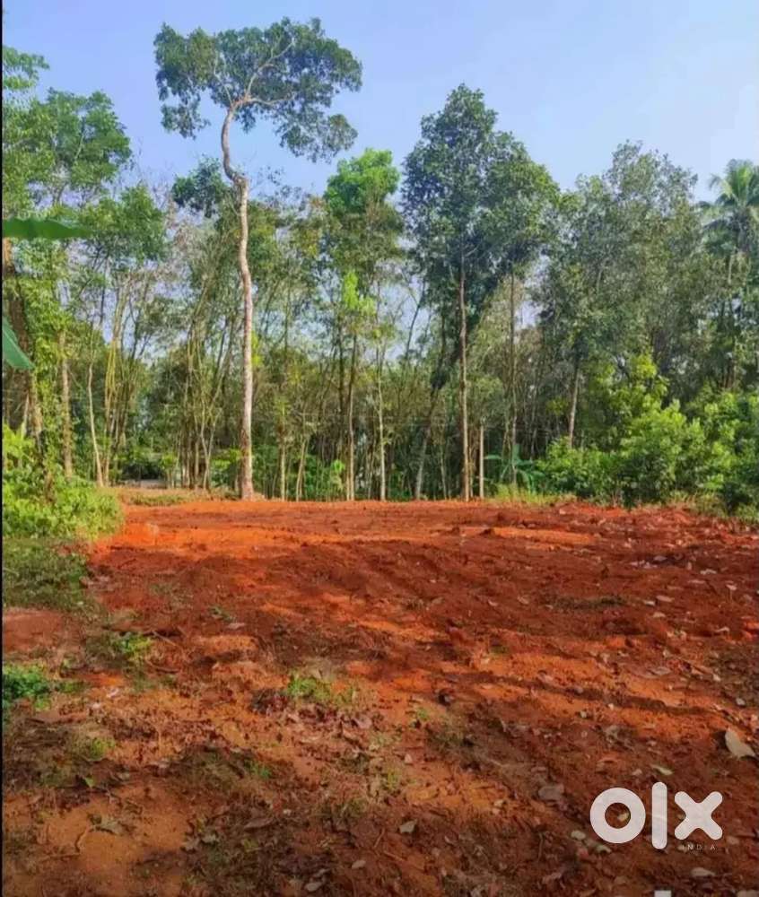 മണക്കാട് 10 സെന്റ് house plot വിൽപ്പനക്ക്..വില സെൻ്റിന് 345000