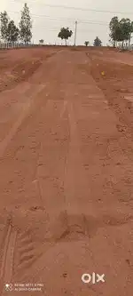 farmland for future investments