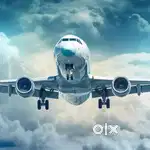 We are hiring for indigo airlines apply fast