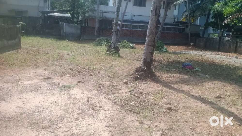 Anayara near lords hospital 200 mtr bypass road 4,5,5.5 cent plot