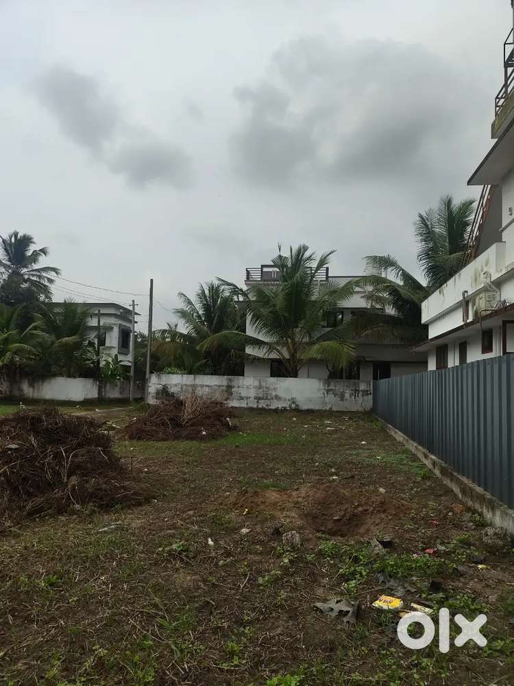 Chettikulangara plot