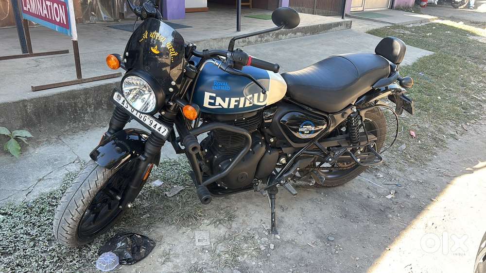 Hunter 8 Month Old TOP Model