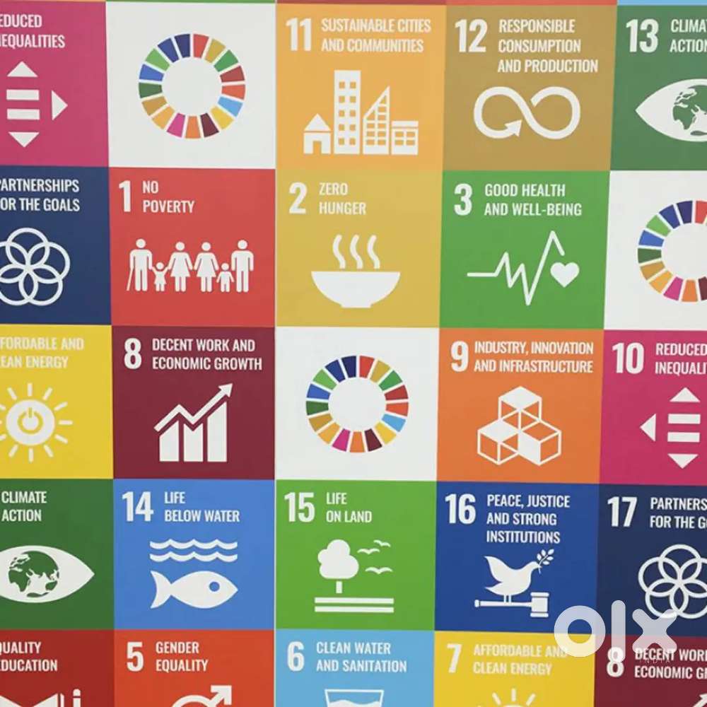 As a consultant and management department