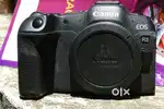 Canon R8 with RF 24-105 f4-7.1 IS STM