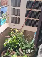 LLOYD AC URGENT SELL
