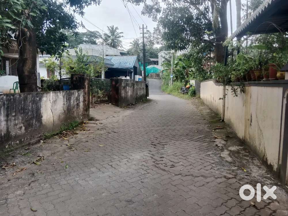 4.500 cent thrikkakara Haritha Nagar CUSAT road