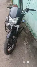 Honda shine best conditions