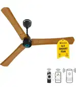 Atomberg Ceiling Fan