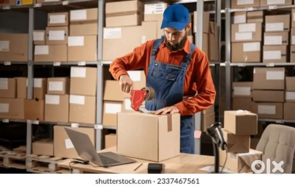 Urgent Hiring Helper / Packing At Location Baddi