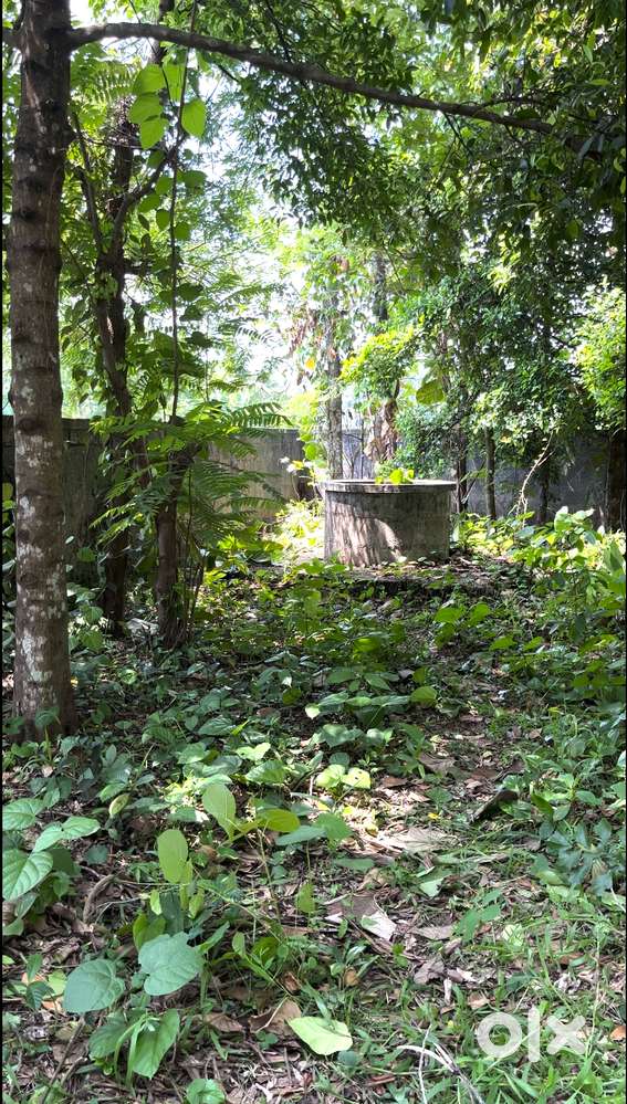 Plot for SALE in Anchalummoodu, Kollam