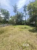 11CENT HOUSE PLOT KARIYAVATTOM PULLANIVILA ROAD SIDE