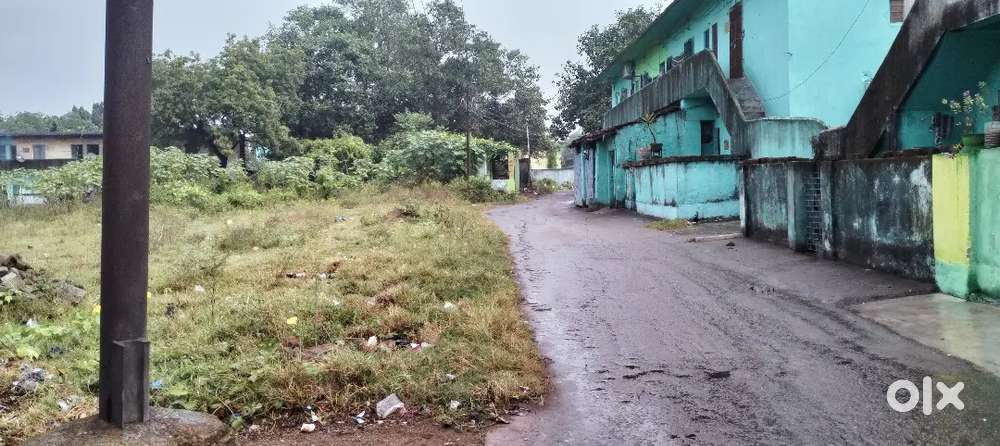 65 kattha jamin ( mahul bagan colony)