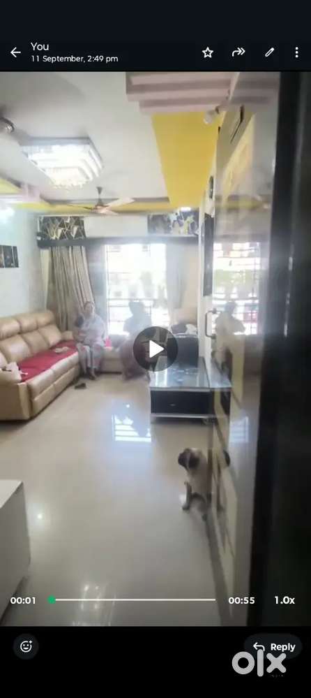 2 BHK Furnished flat for rent 17k friendly family