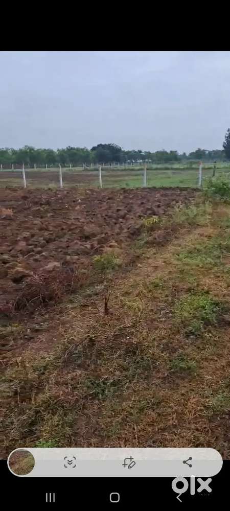 23 390 NA land available in ankodiya TP 24A for immediate on rent