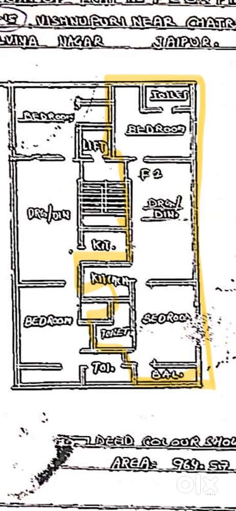 First family preferred