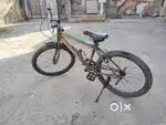 Polo forego cycle