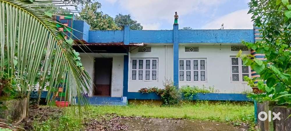 House for rent and stay
