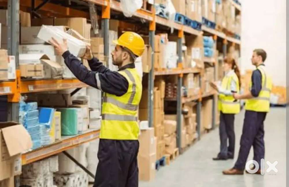 Wanted Picker packer