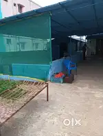 I want master