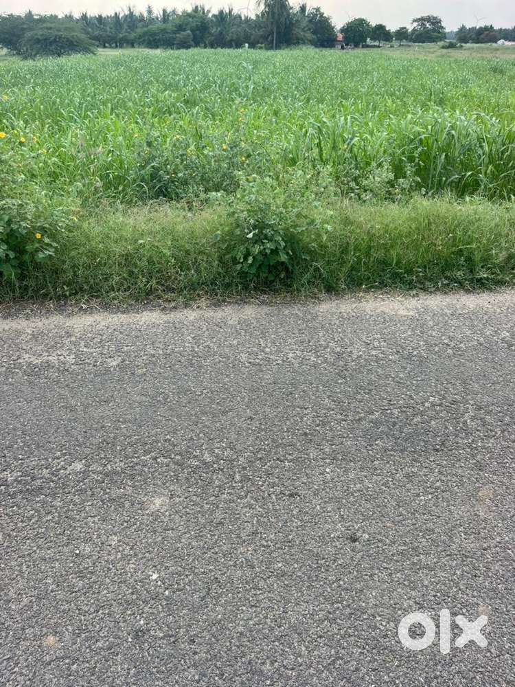 Land/ Agriculture land/ Agriland