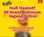 Store Assistant