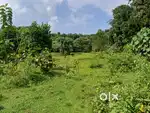 3.50 acres land at Vettilappara, Athirappilly main road