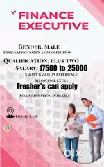 FINANCE EXECUTIVE