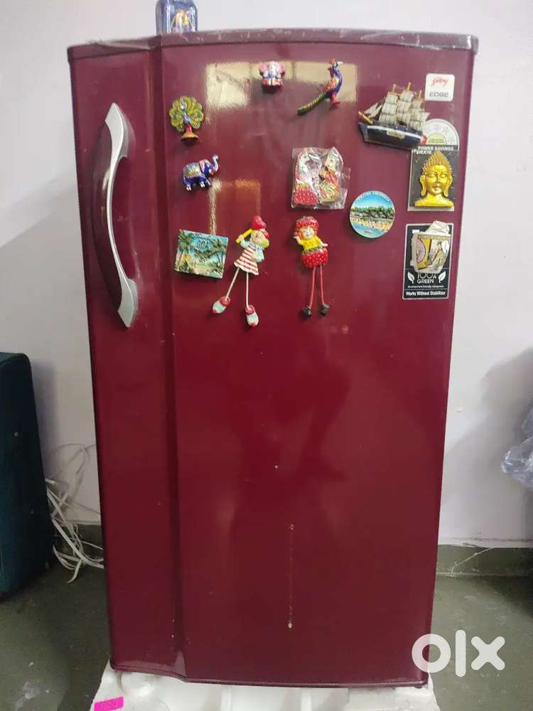 Fridge 10 days old only