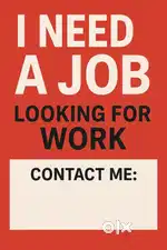 I am fresher I need Accountant job