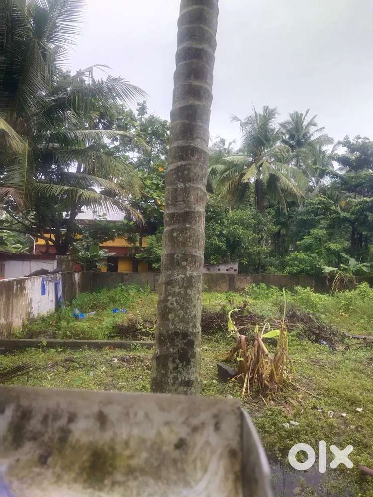 3.5 cents Puredam plot near south Moolamkuzhi Parippu jn for 14.5 Lak