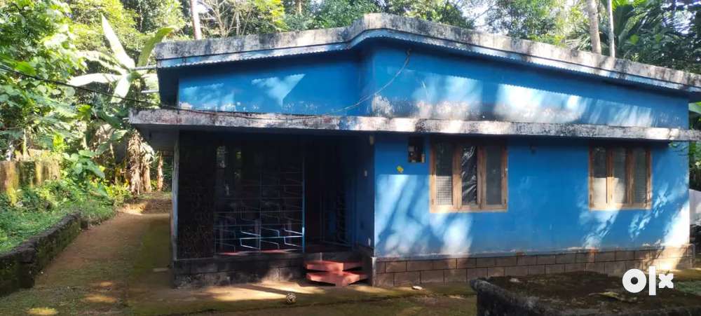 House for sale,Pannicode,Mukkam,Kozhikode,cent19.5