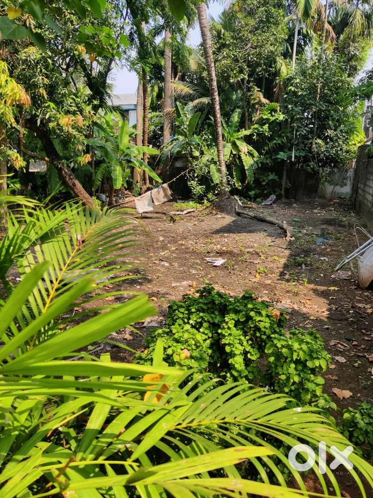 Land for sale at palluruthy