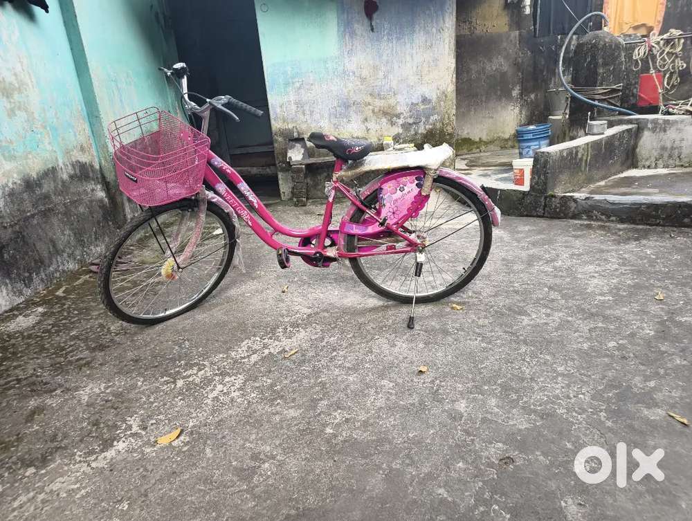 New ledish bycycle