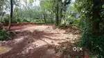 Land for sale in pallickal(695604)