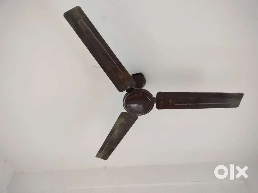 Celling Fan Crompton