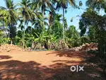 96 cents full pattaya land